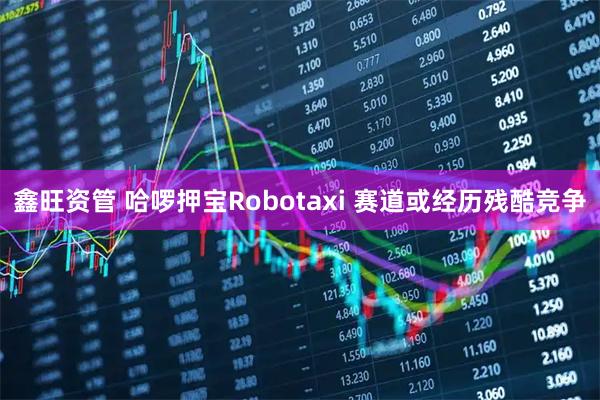 鑫旺资管 哈啰押宝Robotaxi 赛道或经历残酷竞争