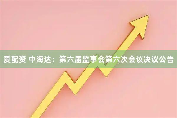 爱配资 中海达：第六届监事会第六次会议决议公告