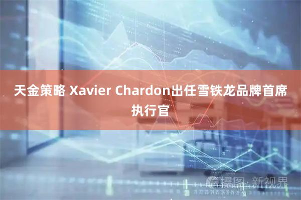 天金策略 Xavier Chardon出任雪铁龙品牌首席执行官