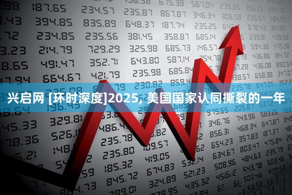 兴启网 [环时深度]2025, 美国国家认同撕裂的一年