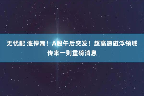 无忧配 涨停潮！A股午后突发！超高速磁浮领域传来一则重磅消息